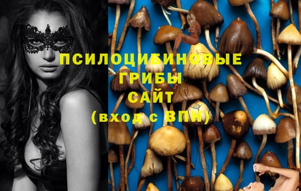 соль курить ск Козельск