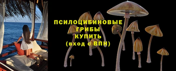марки lsd Козловка